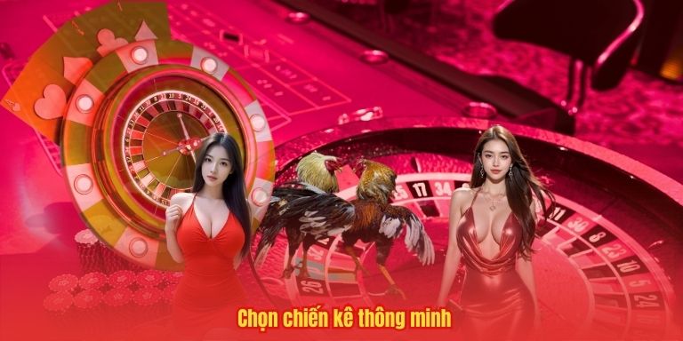 Chọn chiến kê thông minh