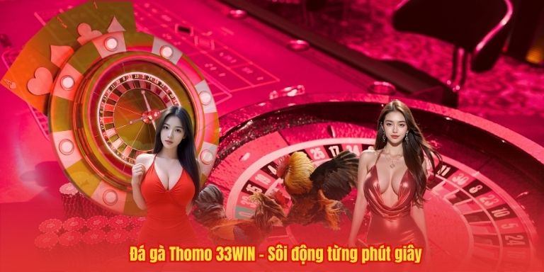 Đá gà Thomo 33WIN – Sôi động từng phút giây