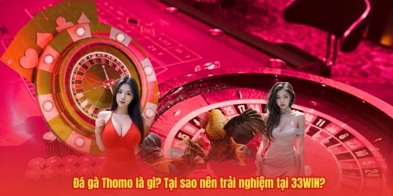 Đá gà Thomo là gì? Tại sao nên trải nghiệm tại 33WIN?