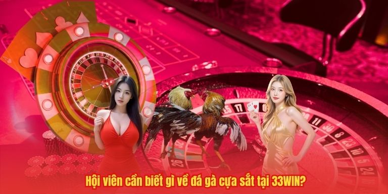 Hội viên cần biết gì về đá gà cựa sắt tại 33WIN?