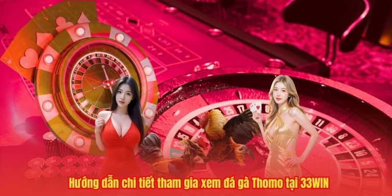Hướng dẫn chi tiết tham gia xem đá gà Thomo tại 33WIN